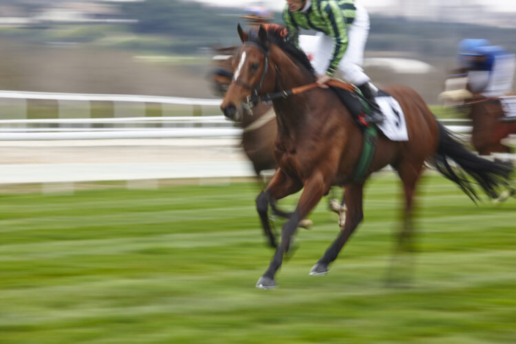 Horse racing in action with motion blur effect on racetrack