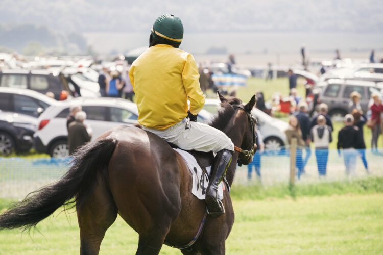 Jockey on horse at race event with spectators and cars in background